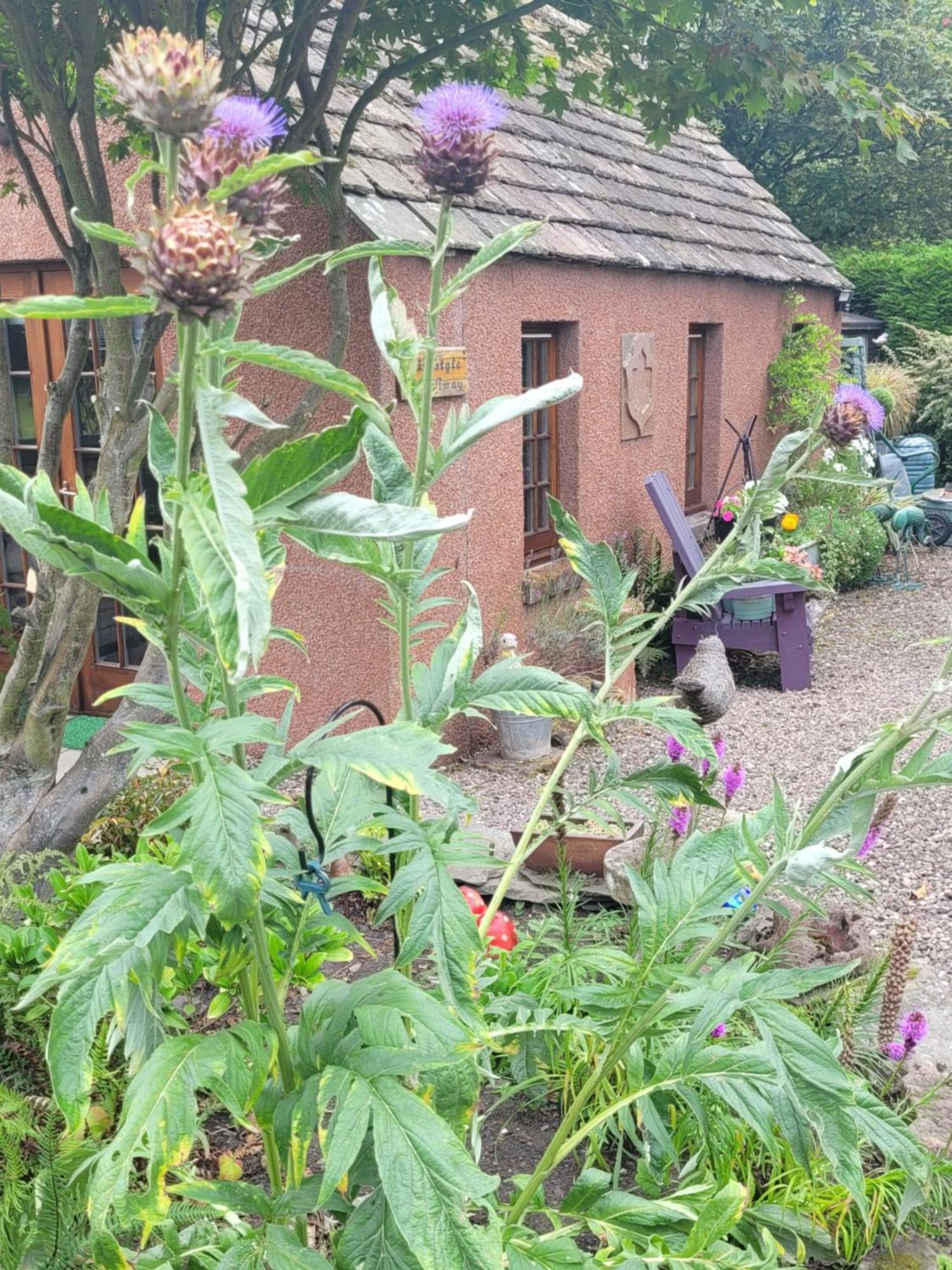 Bed and Breakfast Kirkstyle Hideaway à Arbroath Extérieur photo
